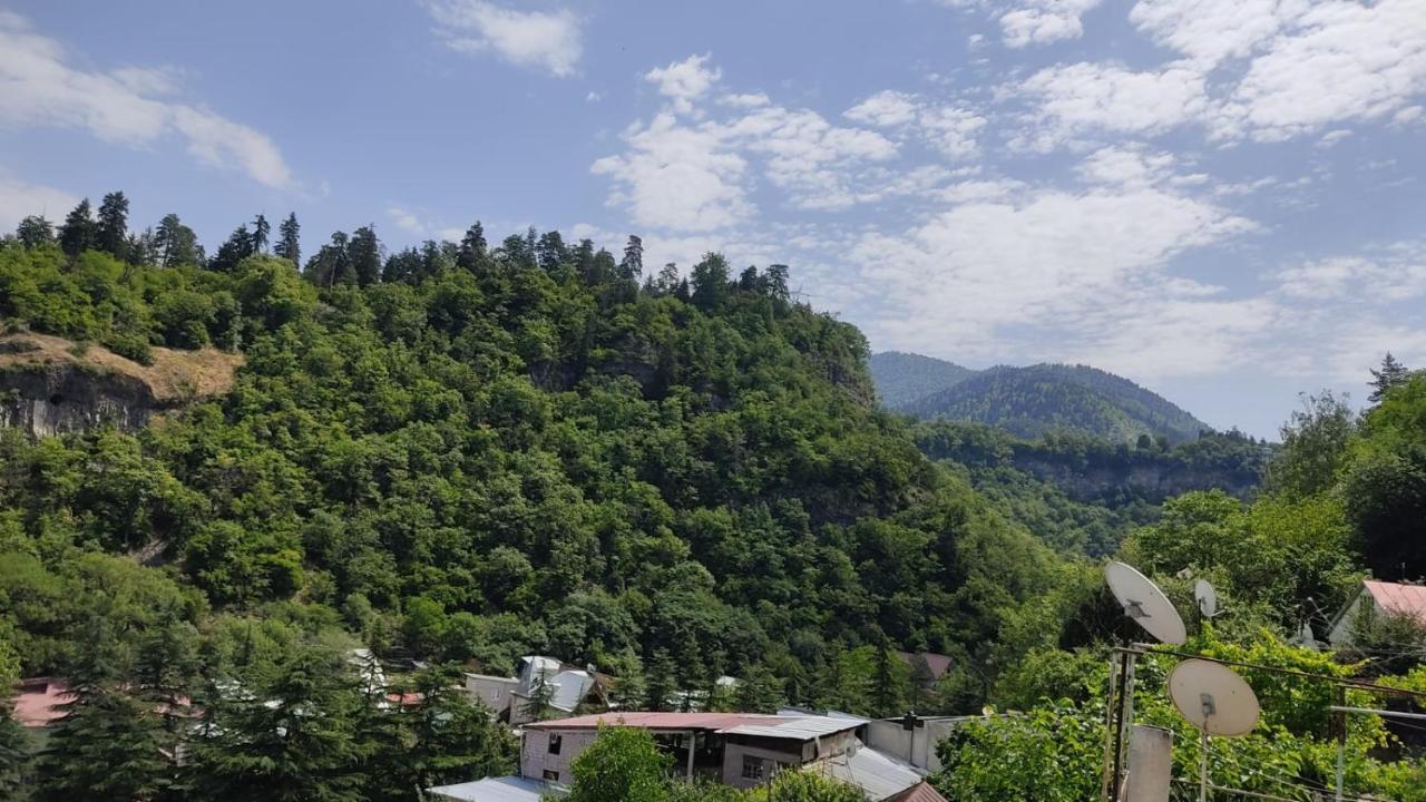 Hotel Borjomi Nest Zewnętrze zdjęcie