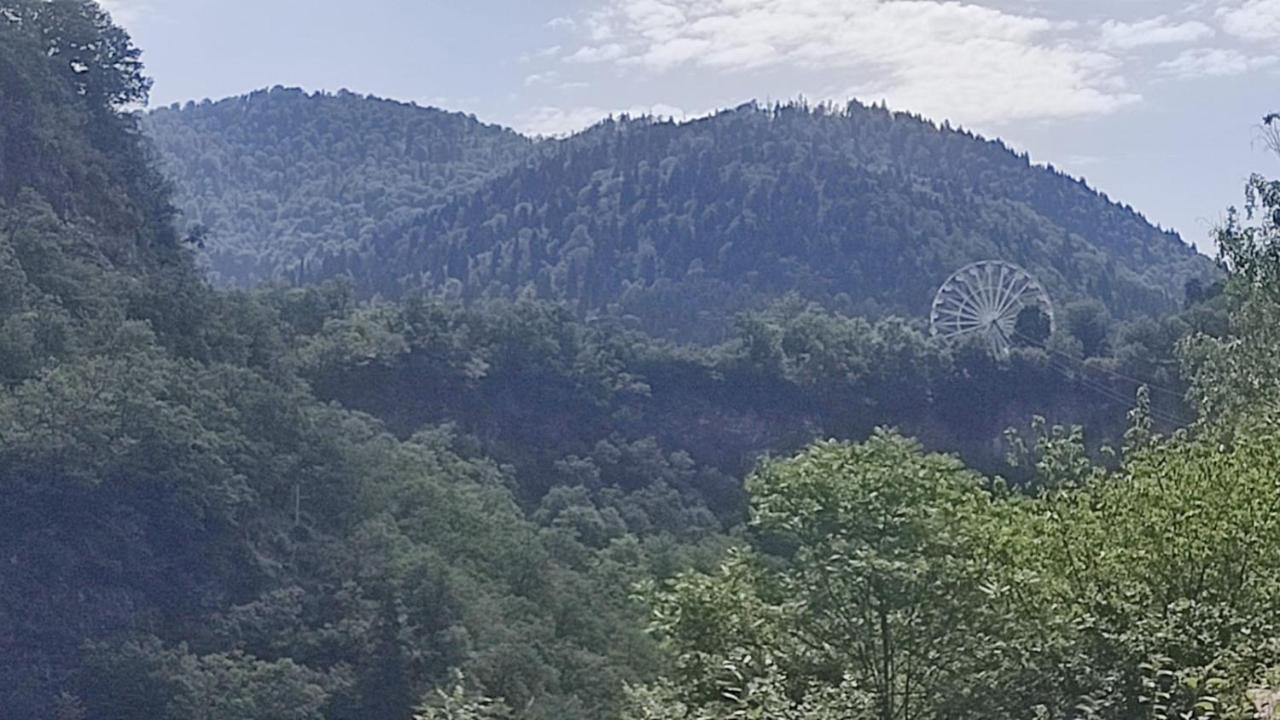 Hotel Borjomi Nest Zewnętrze zdjęcie